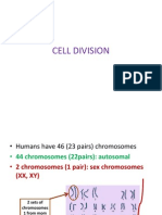 Cell Division