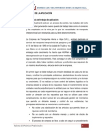 Informe de Practicas Profesionales 2010