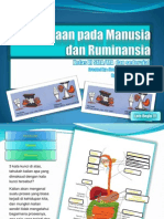 Sistem Pencernaan Manusia