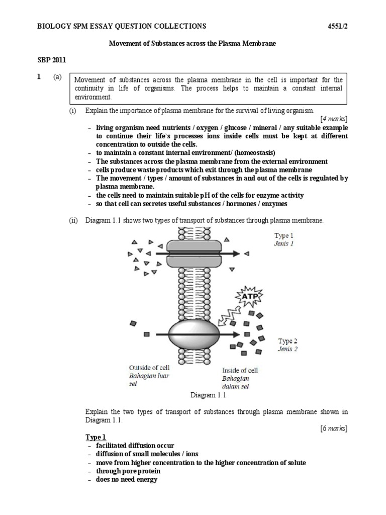 Lymphatic system Essays