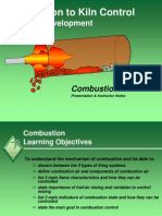 Combustion Kiln Control PDF