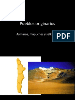 Pueblos Originarios Aymaras-Mapuches-Selk Nam
