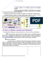 Biomasa. Energías alternativas