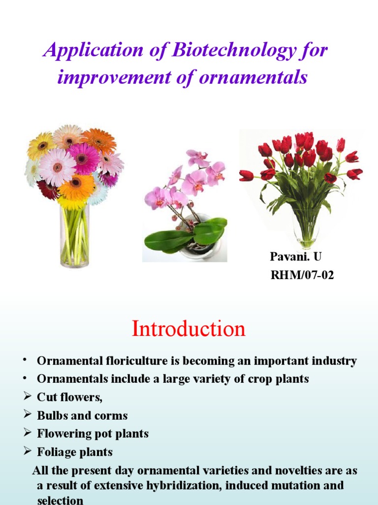 application of biotechnology for improvement of ornamental crops