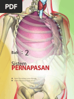 Download Bab 2 Pernafasan by yusufari58 SN174759482 doc pdf