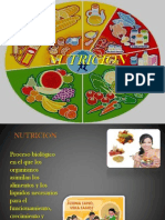 Nutricion Diapositiva