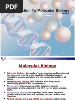 Download Introduction to Molecular Biology by Abbinaya SN17476563 doc pdf
