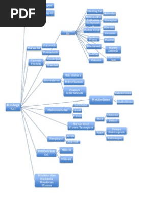 Mind Map Biologi Sel