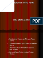 Katabolisma Protein & Nitrogen Asam Amino