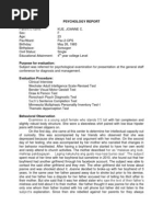 MSE Report Example: Lucy's Assessment | PDF | Mental And Behavioural ...