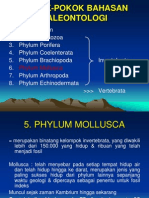 4249_Mollusca(1)