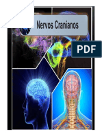 Nervos cranianos