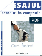 Gabriel Cocu - Dresajul Cainelui de Companie