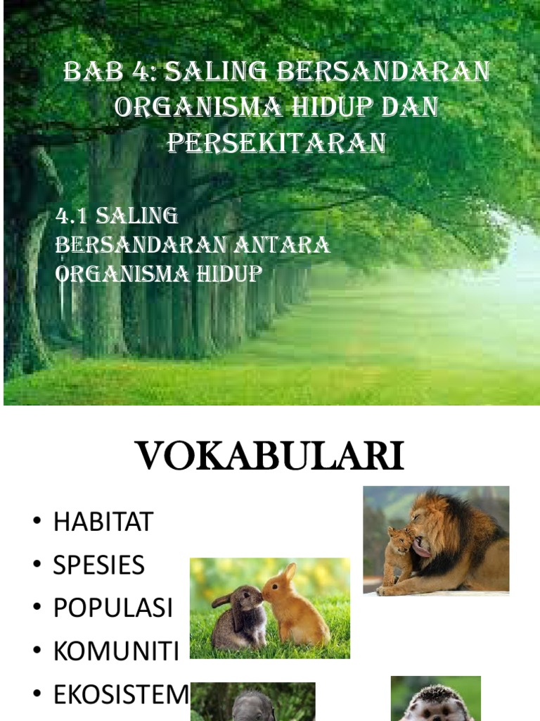 Bab 4 Saling Bersandaran Organisma Hiudp Pdf
