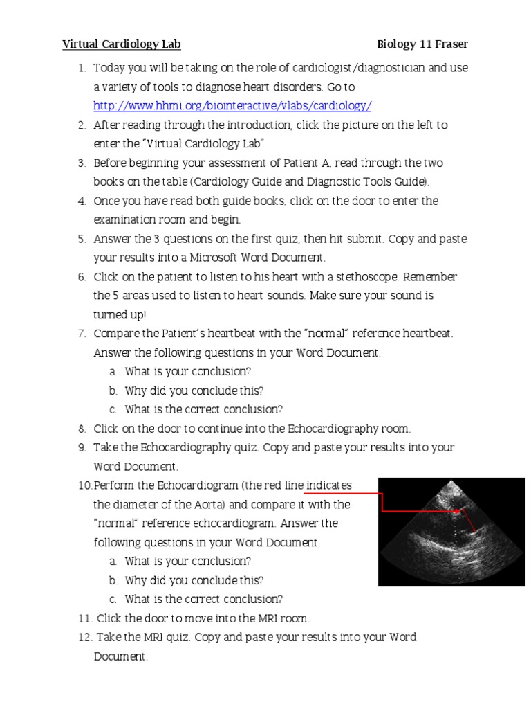 Biol250 lab report cardio heart 04 image