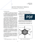 Fisiopatologia Adenovirus