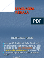 10080634d158 TUBERCULOZA RENALA
