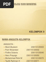 Download fisiologi ikan bandeng ppt by Muhammad Rizk-q SN174810900 doc pdf