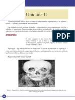 ADM Comportamento Humano Nas Organizacoes(80hs) Unidade II(1)