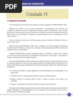ADM Comportamento Humano Nas Organizacoes(80hs) Unidade IV(1)