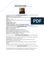 Curriculum Vitae Silvestre