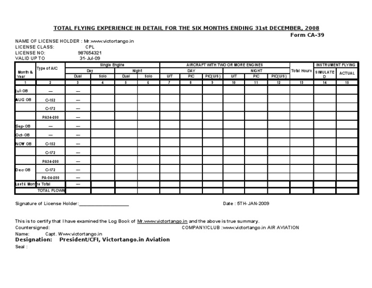 CA-39 Flight Experience Summary | PDF | Aircraft | Wing Configurations