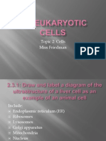 IB T2 2.3 EkaryoticCells