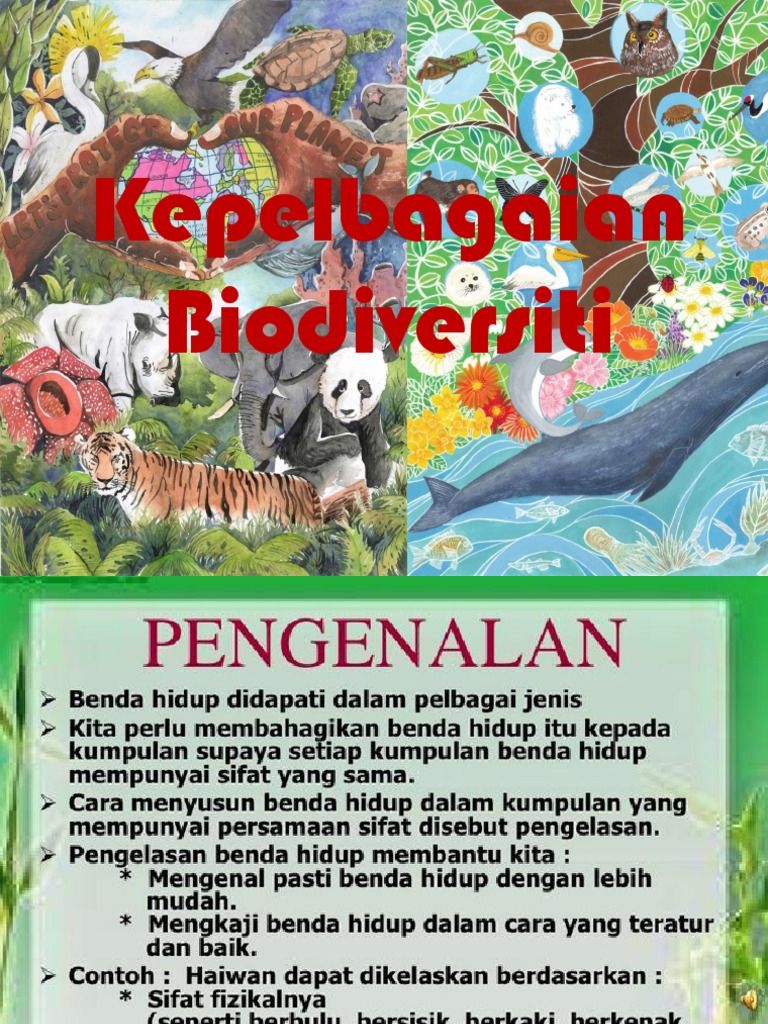 Paling Laju Jenis Haiwan Amfibia