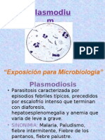 Plasmodium.pres