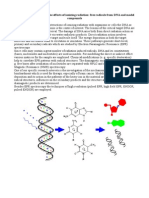 Molecular Mechanisms of The Effects of Ionizing Radiation: Free Radicals From DNA and Model Compounds