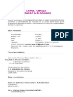 CV Pizarro Maldonado Carol