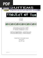 Project on PIA by Shehmeen