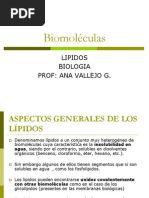 Biomoléculas LIPIDOs