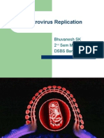 Retrovirus Replication by Bhuvanesh Kalal