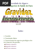 Psicologia da Gravidez e Maternidade/Paternidade - 1 (Perspectiva Histórica)