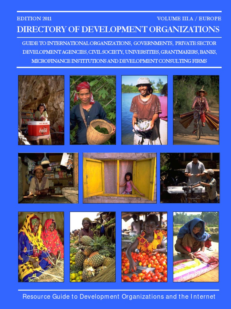 Deutsche Ngos Non Governmental Organization Microfinance