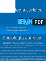 Sociología Jurídica introduccion y tema 1