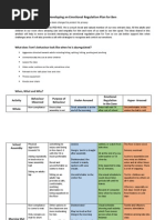 Emotional Regulation Plan