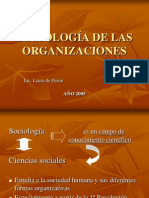 SOCIOLOGÍA DE LAS ORGANIZACIONES: TEORÍAS Y ENFOQUES