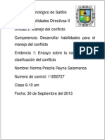 Evidencia 1 Unidad 2 Ensayo Naturaleza y Clasificacion Del Conflicto