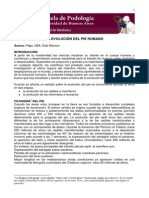 Art +La+Evolución+del+pie+humano