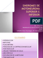 Seminario de Motoneurona Superior e Inferior