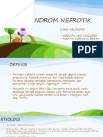 Sindrom Nefrotik