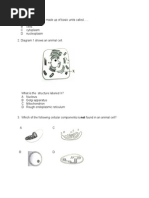 Mid Year Exam Physics Paper 2 Form 4 2009  Collision 