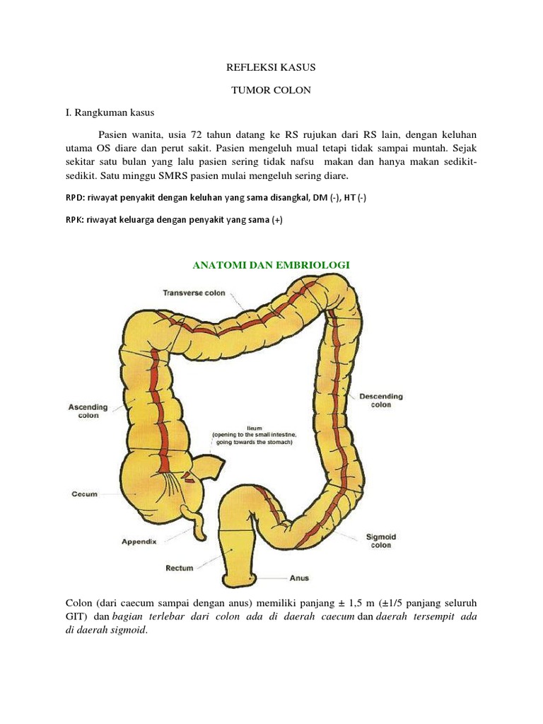 Karsinoma Kolon: Diagnosis dan Terapi | PDF | Sains & Matematika