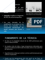 Pcr