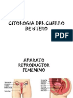 Citologia Del Cuello de Utero 2013