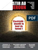 Investir Au Cameroun 12 PDF