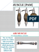 Air Muscle Presentation