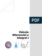 FP5S-CALDIFEINTEGRAL1